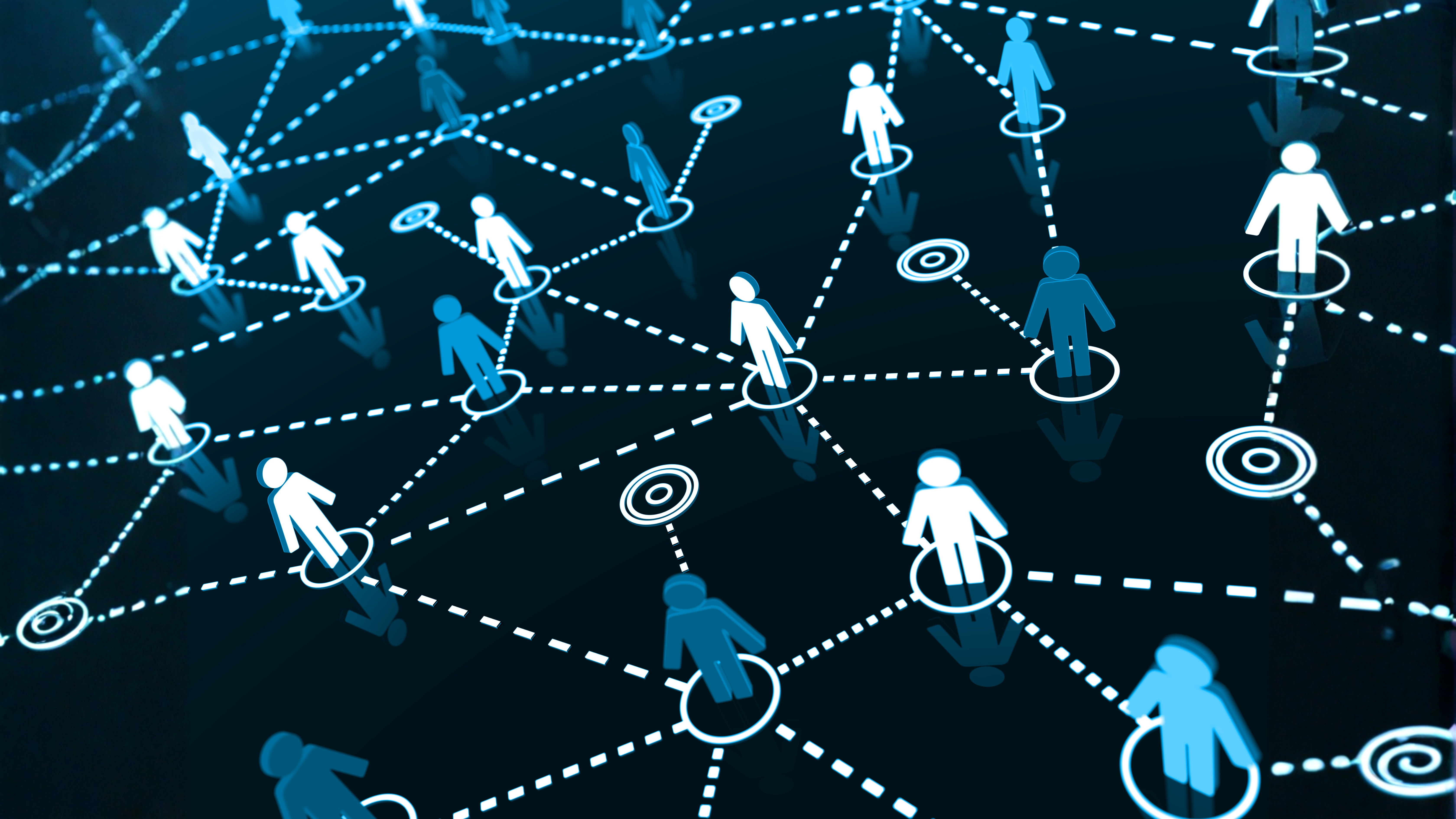 Networking for Novelty